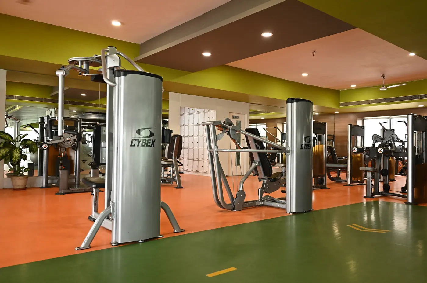 Strength section